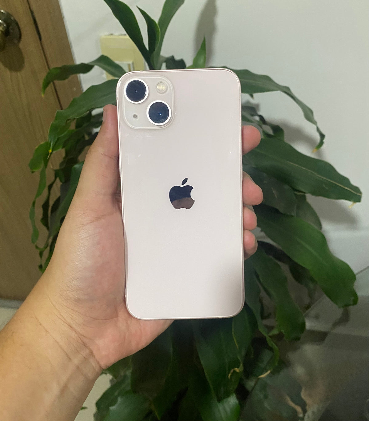 iPhone 13