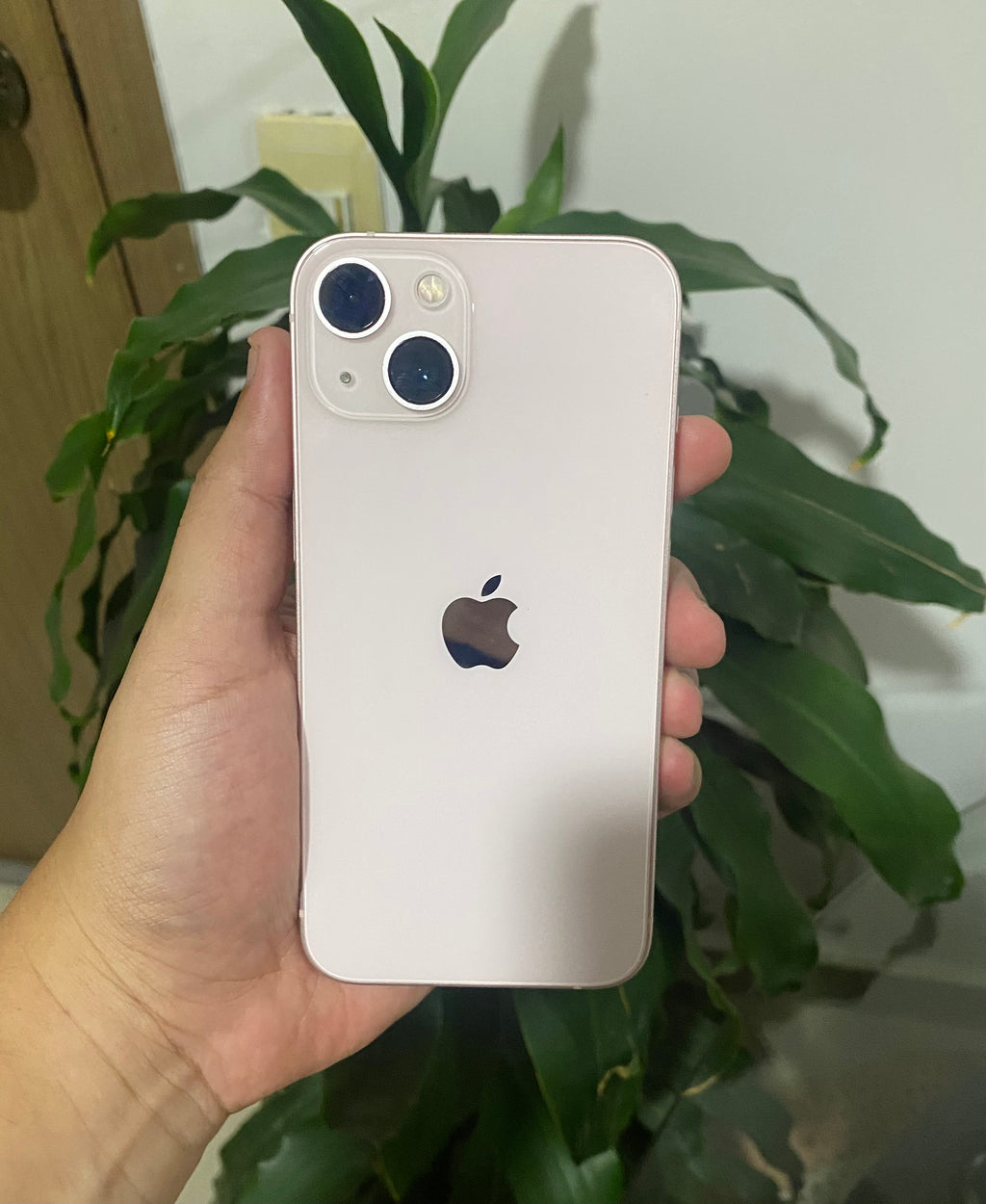 iPhone 13