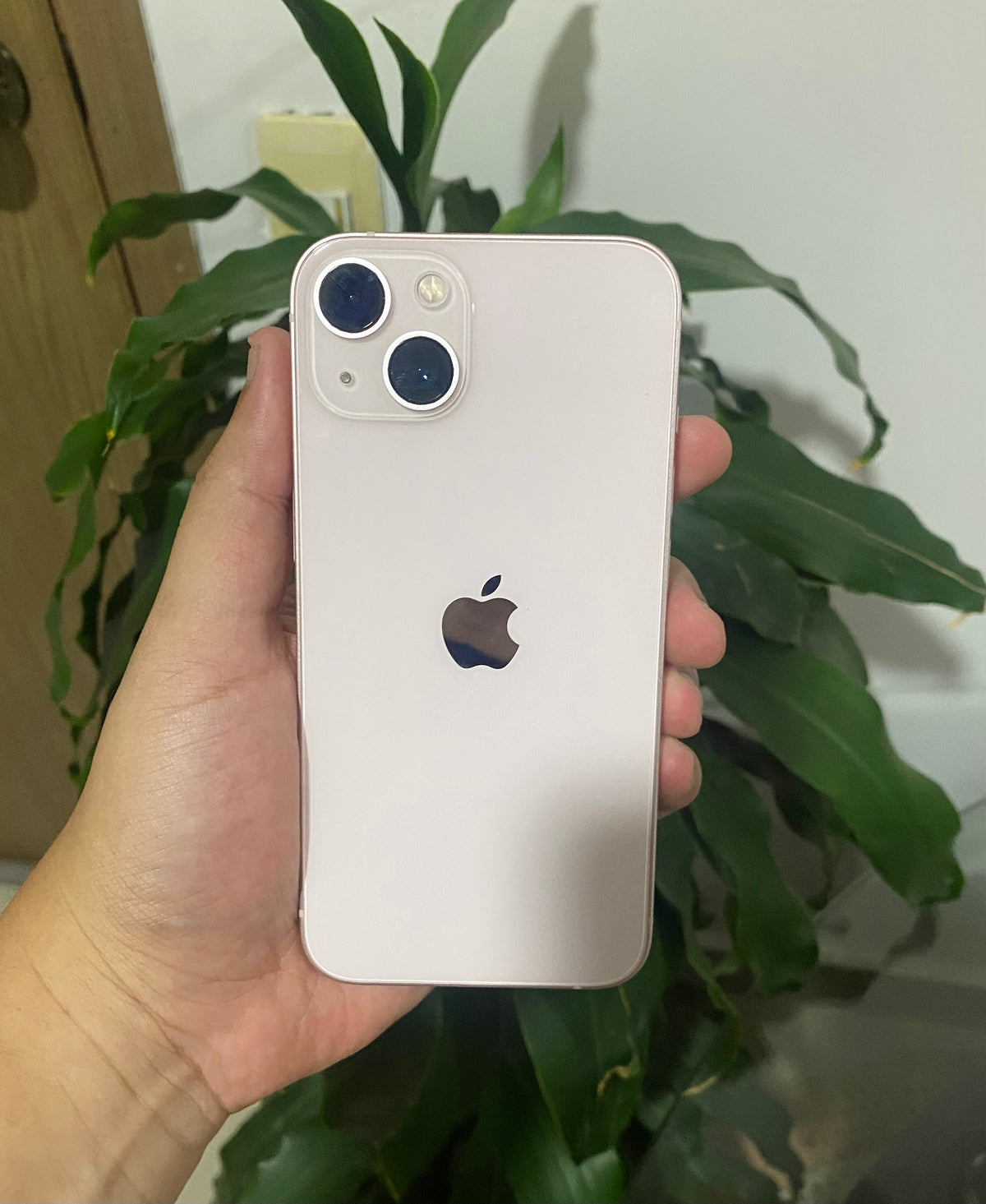 iPhone 13