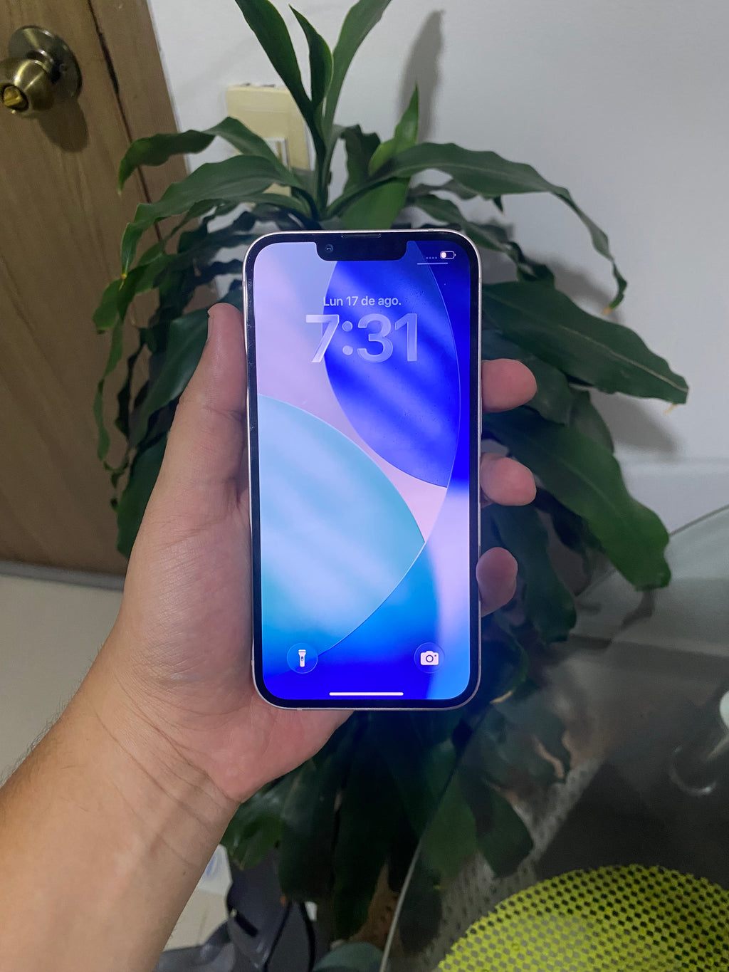 iPhone 13